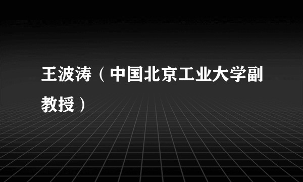 王波涛（中国北京工业大学副教授）