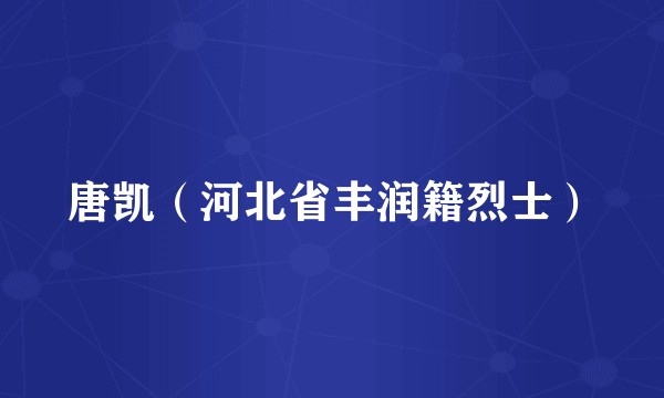 唐凯（河北省丰润籍烈士）