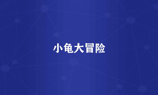 小龟大冒险
