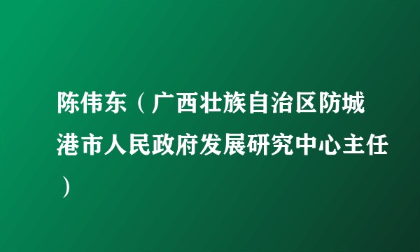 陈伟东（广西壮族自治区防城港市人民政府发展研究中心主任）