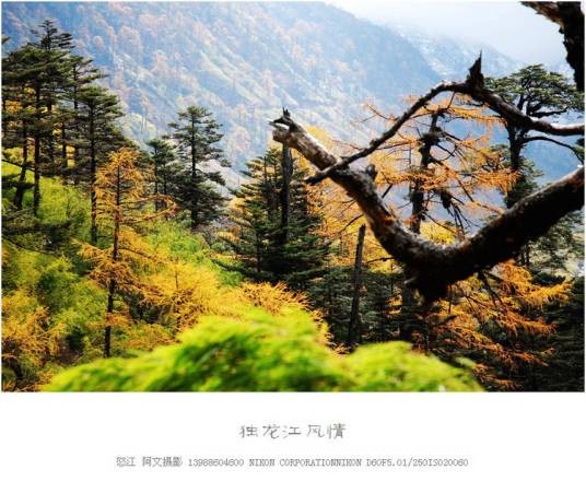 独龙江大峡谷