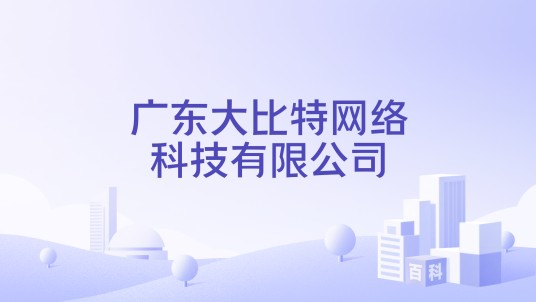 广东大比特网络科技有限公司
