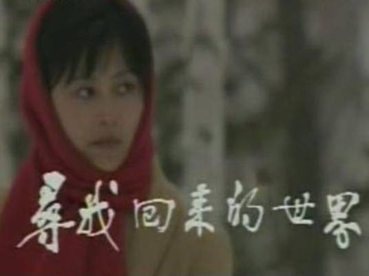 寻找回来的世界（1985年许雷执导的电视剧）