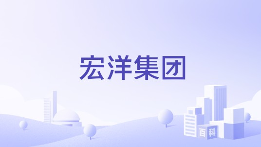 宏洋集团