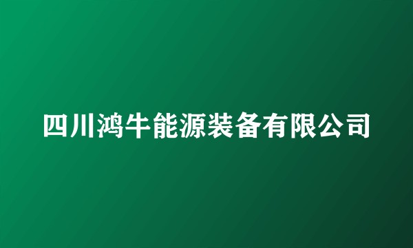 四川鸿牛能源装备有限公司
