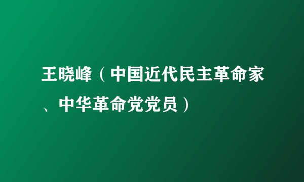 王晓峰（中国近代民主革命家、中华革命党党员）