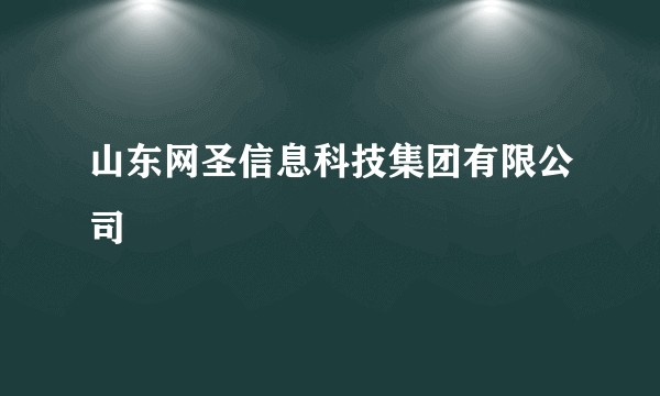 山东网圣信息科技集团有限公司