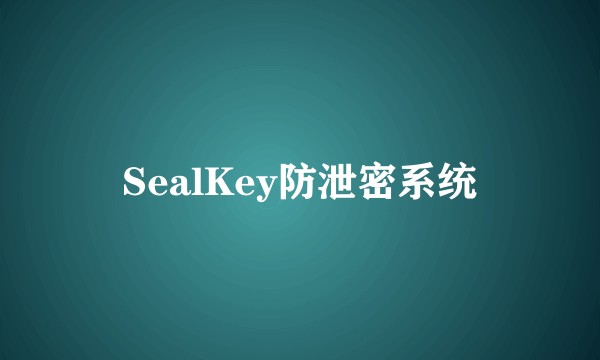 SealKey防泄密系统