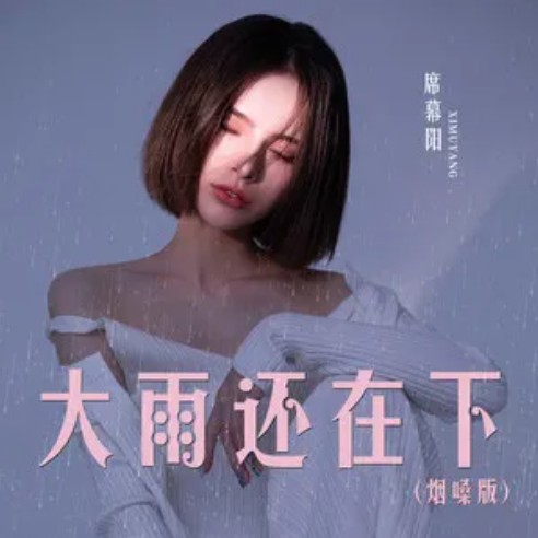 大雨还在下 （烟嗓版）