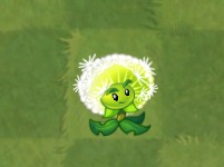 蒲公英(游戏《植物大战僵尸》及其衍生作品中的植物道具)