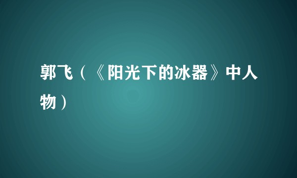 郭飞（《阳光下的冰器》中人物）
