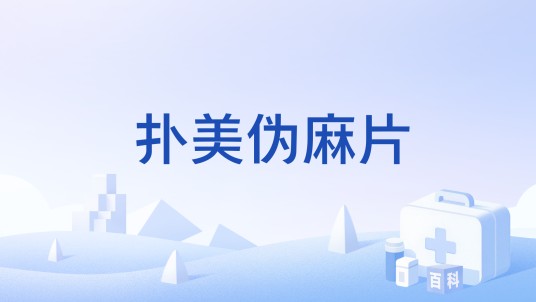 扑美伪麻片