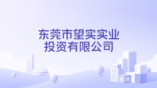 东莞市望实实业投资有限公司