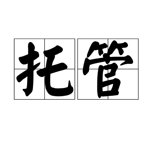 托管（管理学术语）
