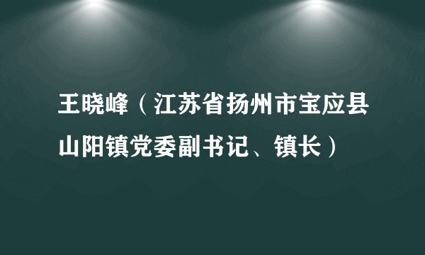 王晓峰（江苏省扬州市宝应县山阳镇党委副书记、镇长）