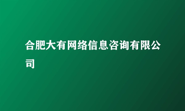 合肥大有网络信息咨询有限公司