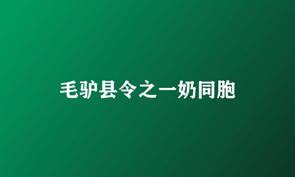毛驴县令之一奶同胞