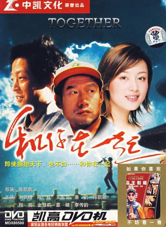和你在一起（2003年陈凯歌执导的电影）