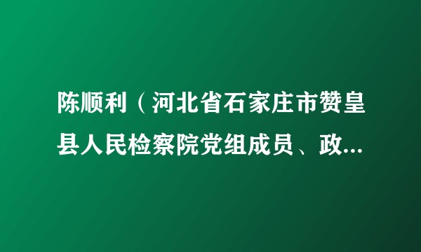 陈顺利（河北省石家庄市赞皇县人民检察院党组成员、政治部主任）