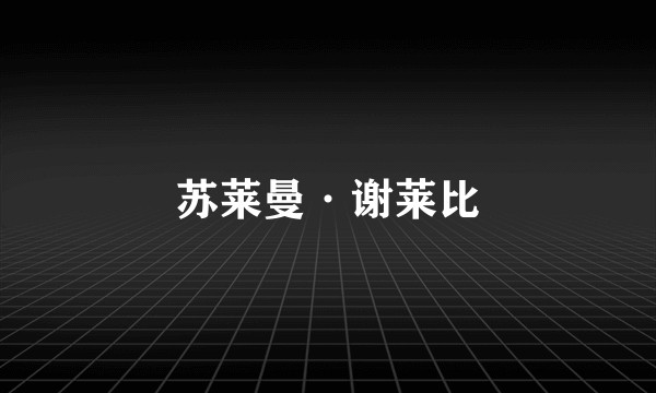 苏莱曼·谢莱比