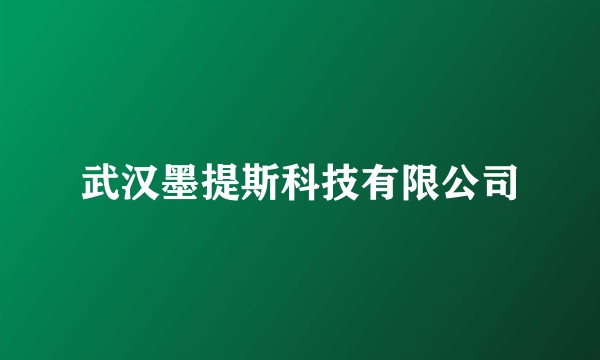 武汉墨提斯科技有限公司