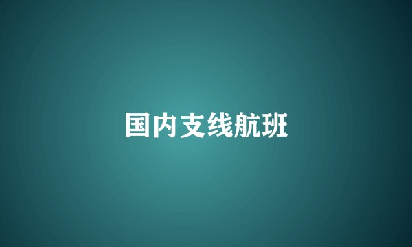 国内支线航班
