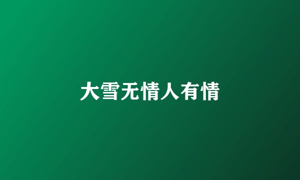 大雪无情人有情