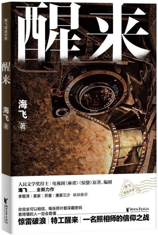 醒来（海飞著长篇小说）