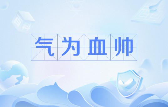 气为血帅