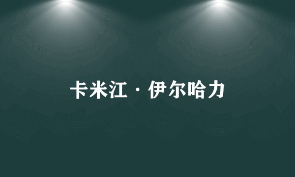 卡米江·伊尔哈力