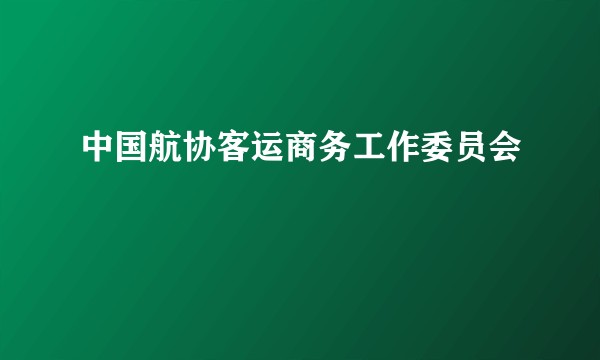 中国航协客运商务工作委员会