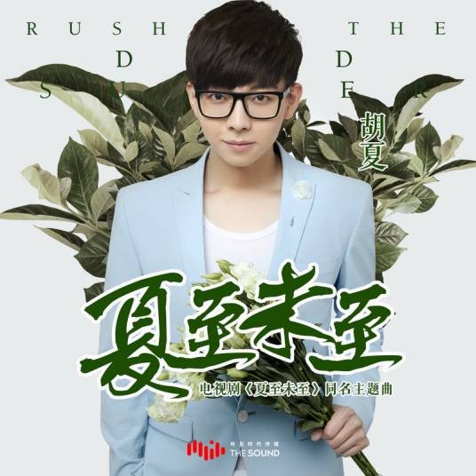 夏至未至（胡夏演唱的青春主题歌曲）