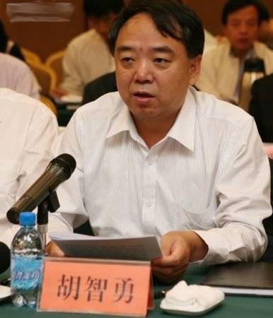 胡智勇（中国河南投资集团原董事长）