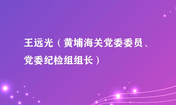王远光（黄埔海关党委委员、党委纪检组组长）