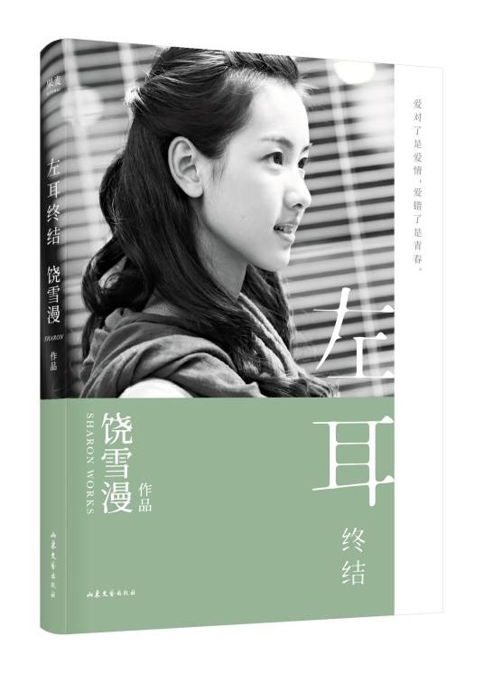 左耳终结（2019年山东文艺出版社出版的图书）