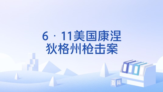 6·11美国康涅狄格州枪击案