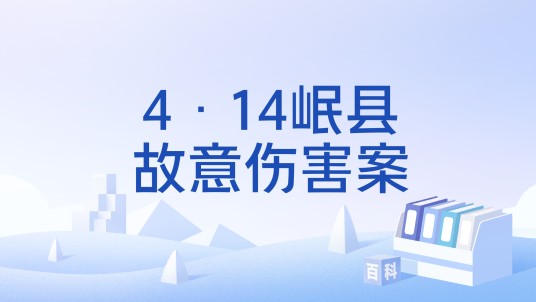 4·14岷县故意伤害案