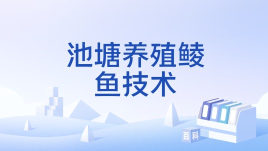 池塘养殖鲮鱼技术