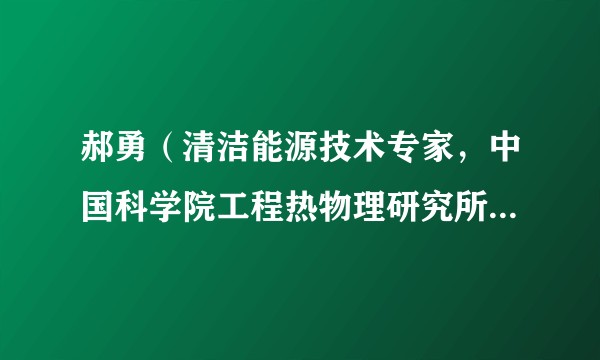 郝勇（清洁能源技术专家，中国科学院工程热物理研究所研究员）
