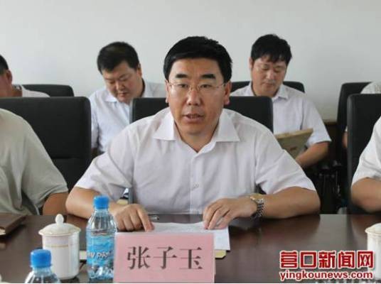 张子玉(中共营口市委常委)