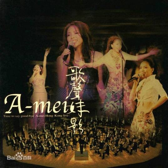 I will always love you（张惠妹演唱歌曲）