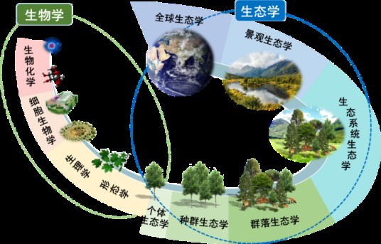 生态学（自然科学学科）