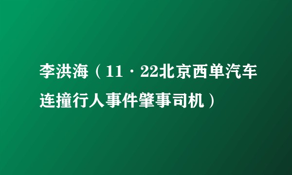 李洪海（11·22北京西单汽车连撞行人事件肇事司机）