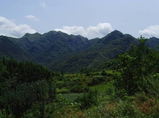 凤凰山（湖北省丹江口市牛河林区自然山体）