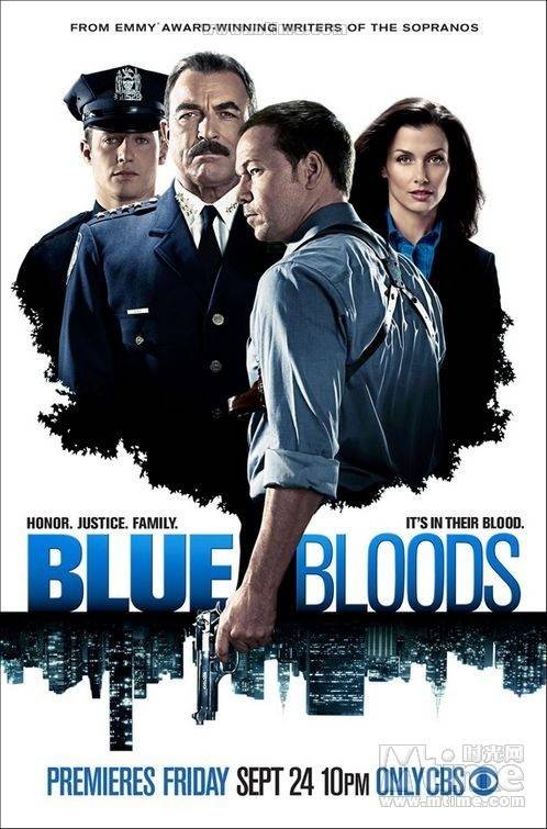 警察世家(美国2010年由拉尔夫·海梅克执导的电视剧)