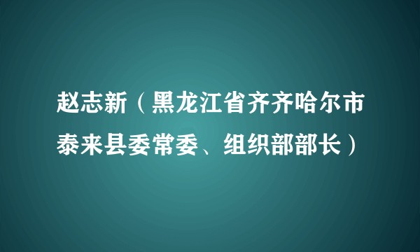 赵志新（黑龙江省齐齐哈尔市泰来县委常委、组织部部长）
