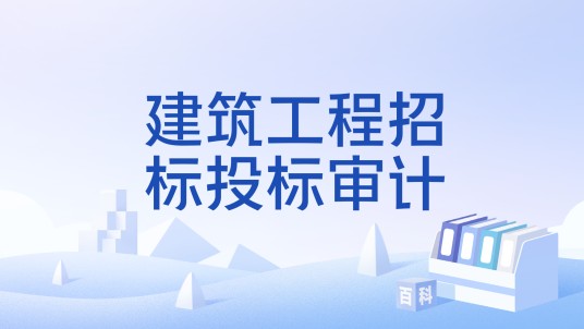 建筑工程招标投标审计
