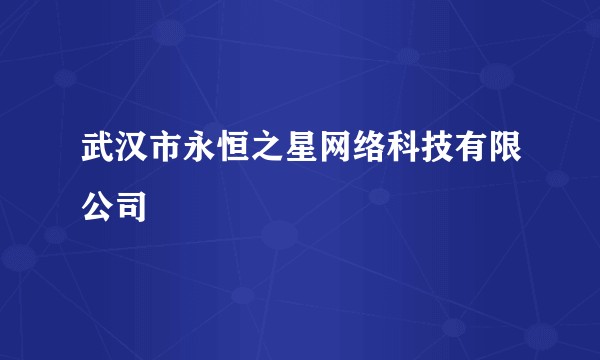 武汉市永恒之星网络科技有限公司