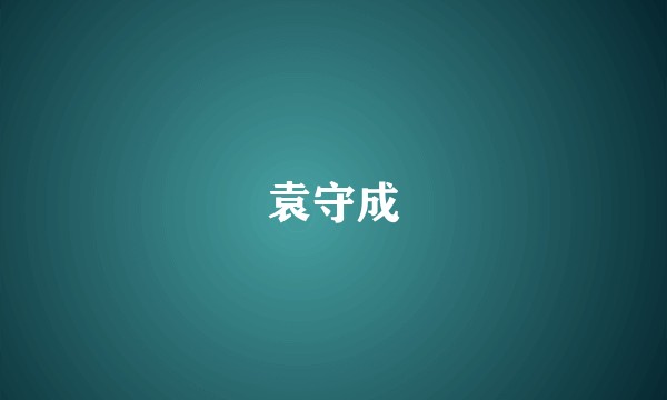袁守成
