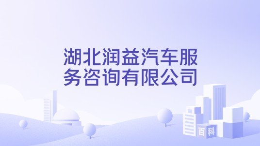 湖北润益汽车服务咨询有限公司